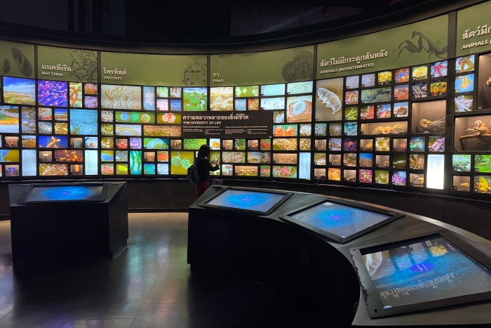 2dc3094306f98c8bb0cb7dfbe09f8760 2dc3094306f98c8bb0cb7dfbe09f8760