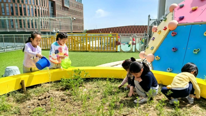 36e064faac6cea15939648496fcf06c 36e064faac6cea15939648496fcf06c